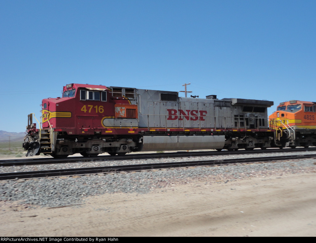 Warbonnet Leader At Danby